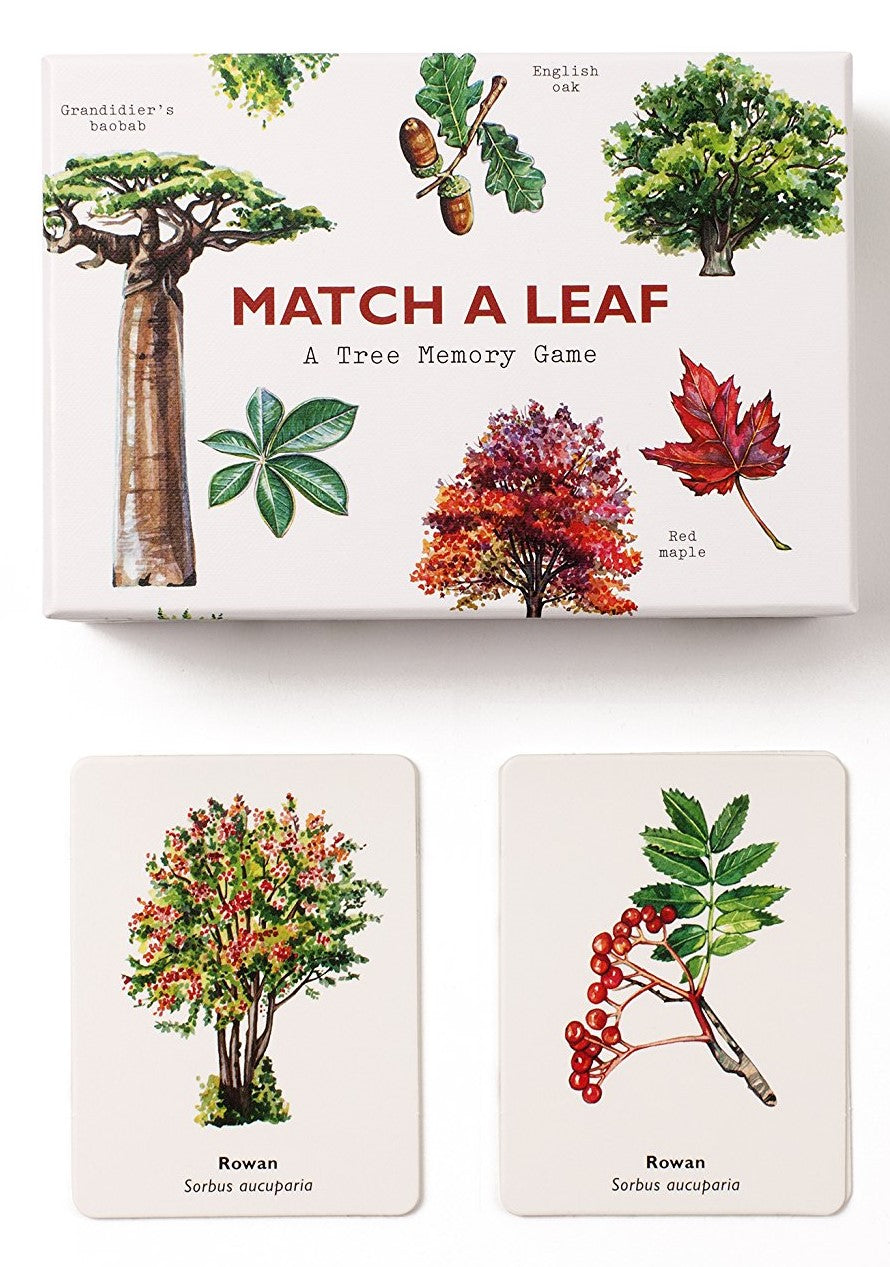 Match a Leaf: a Memory Game